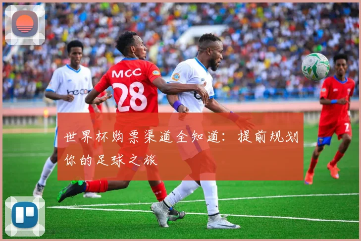 世界杯购票渠道全知道:提前规划你的足球之旅
