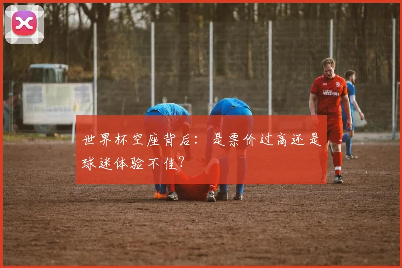 世界杯空座背后:是票价过高还是球迷体验不佳?